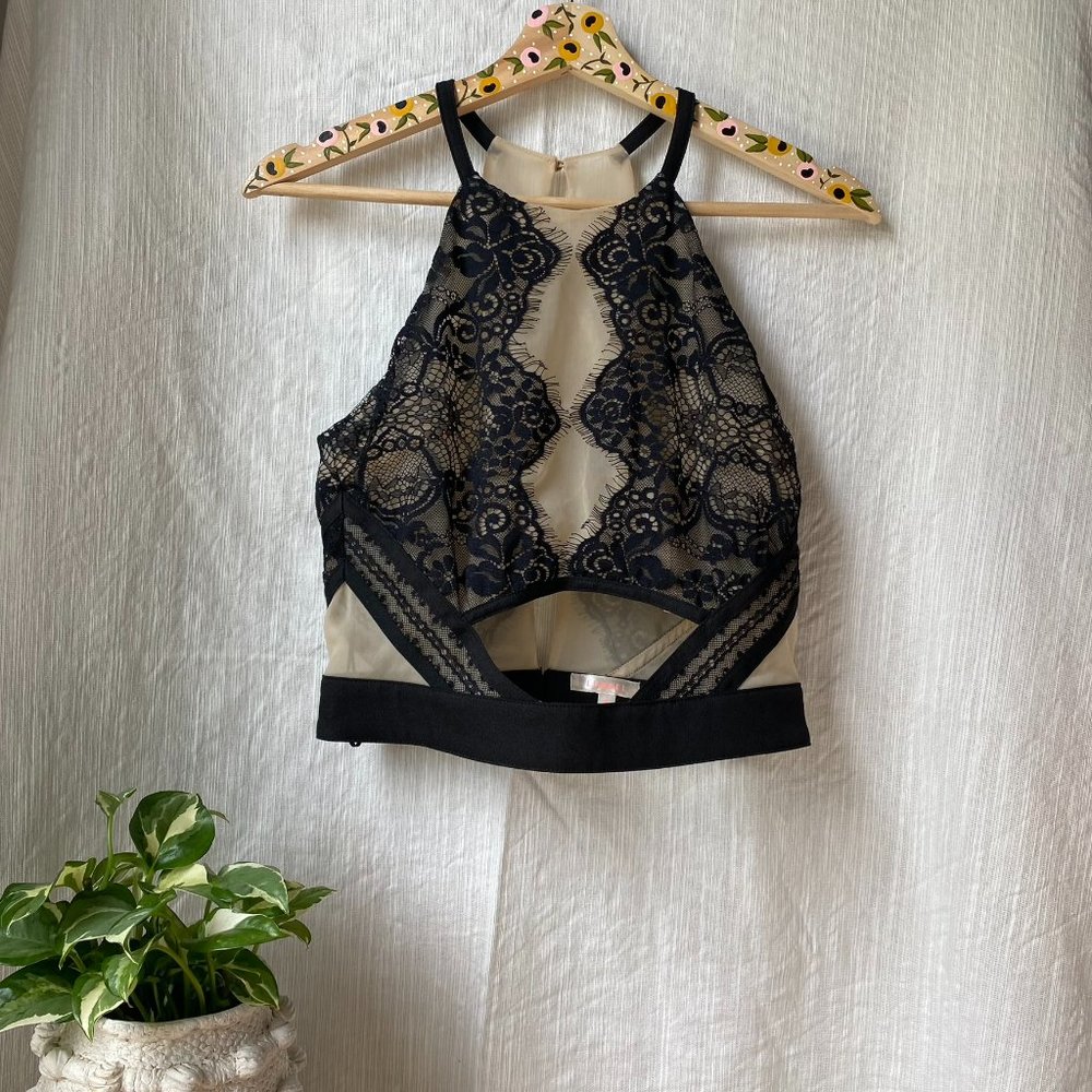 Lulu's Black Lace & Nude Mesh Halter Neck Open Back Crop Top S